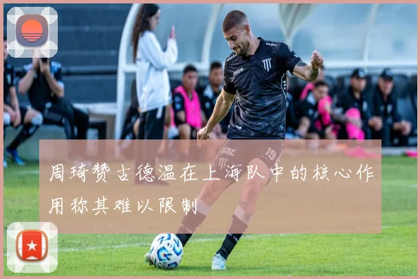 周琦赞古德温在上海队中的核心作用称其难以限制