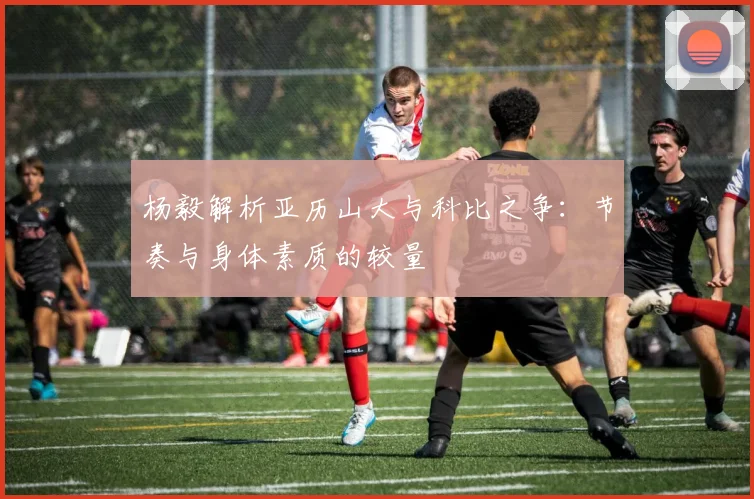 杨毅解析亚历山大与科比之争：节奏与身体素质的较量
